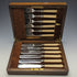 British Vintage Resin Handle Fish Cutlery 6 Pair Set in Wooden Box Cooper Brothers